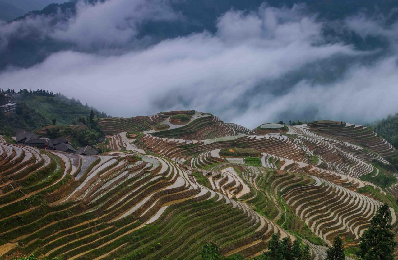 Longji Holiday Hotel Longsheng Esterno foto